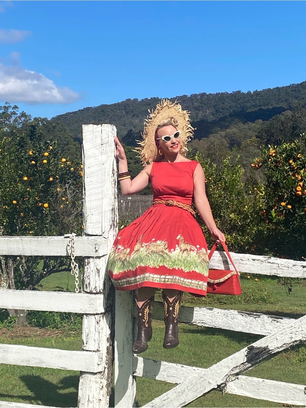 Vintage-Inspired Red Fit & Flare Dress with Scenic Border Print